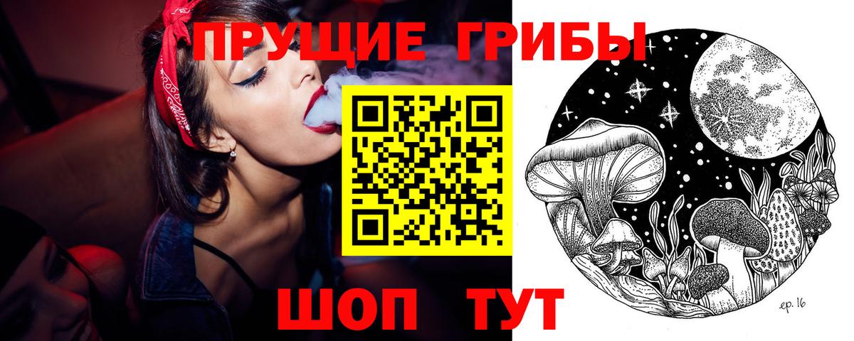 Галлюциногенные грибы прущие грибы  Вход с VPN  Менделеевск 