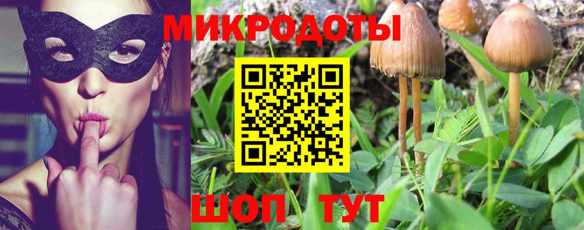 Псилоцибиновые грибы ЛСД Менделеевск